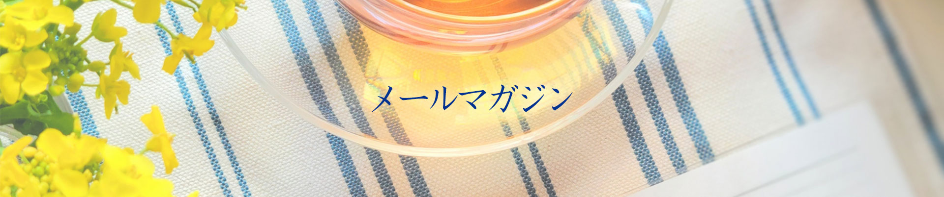 メールマガジン